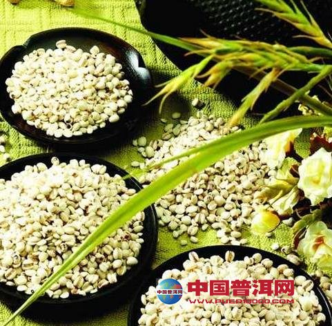 普洱茶