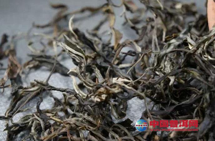 普洱茶