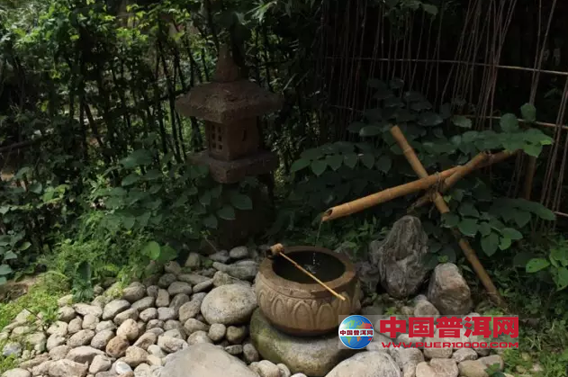 普洱茶