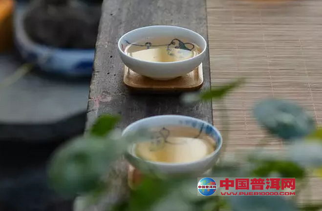 普洱茶