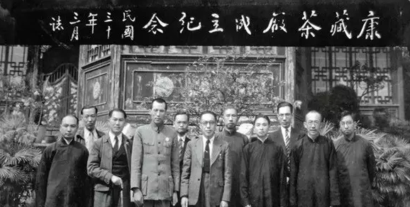 普洱茶