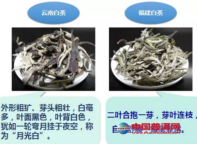 <u><a href='http://www.puer10000.com/puerzhishi/32854.html' target='_blank'>ն</a></u>