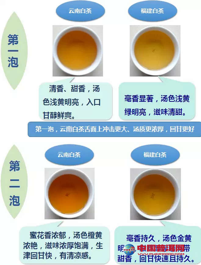 <u><a href='http://www.puer10000.com/puerzhishi/32854.html' target='_blank'>ն</a></u>