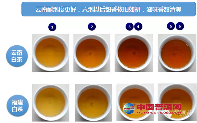 <u><a href='http://www.puer10000.com/puerzhishi/32854.html' target='_blank'>ն</a></u>