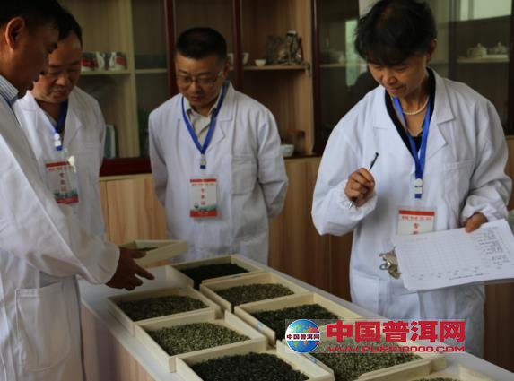 普洱茶