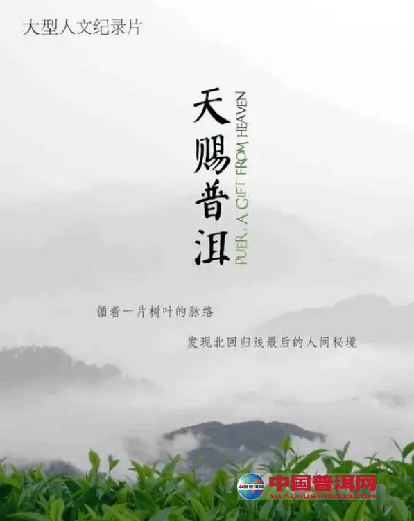 普洱茶