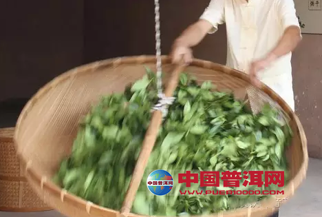 普洱茶