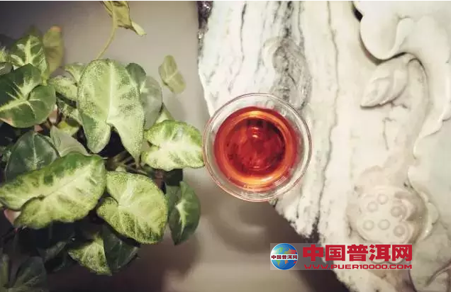 普洱茶