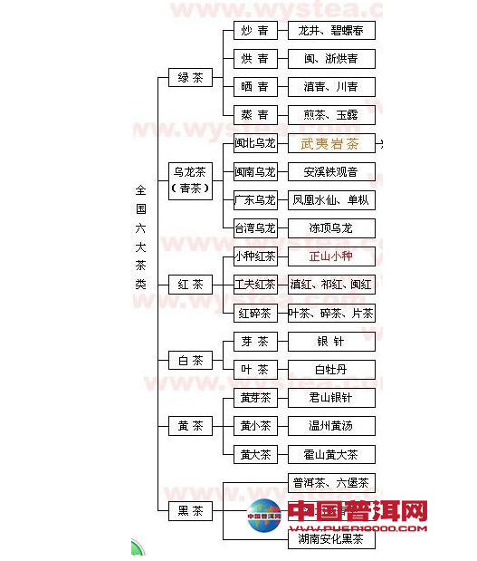 普洱茶