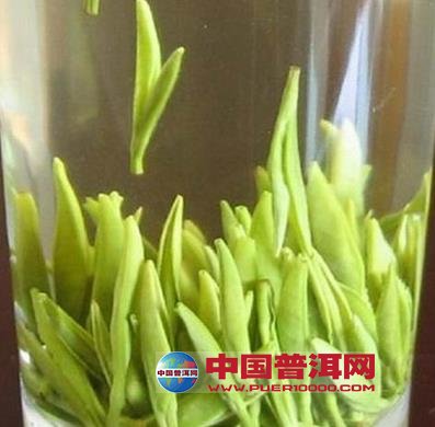<u><a href='http://www.puer10000.com/puerzhishi/32854.html' target='_blank'>ն<u><a href='http://www.puer10000.com/puerzhishi/100997.html' target='_blank'></a></u></a></u>