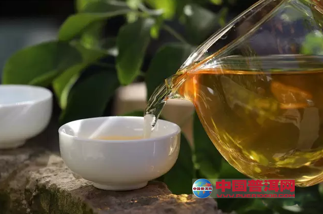 普洱茶