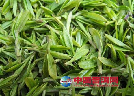 <u><a href='http://www.puer10000.com/puerzhishi/32854.html' target='_blank'>ն<u><a href='http://www.puer10000.com/puerzhishi/100997.html' target='_blank'></a></u></a></u>