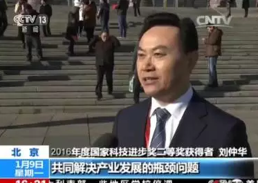 普洱茶