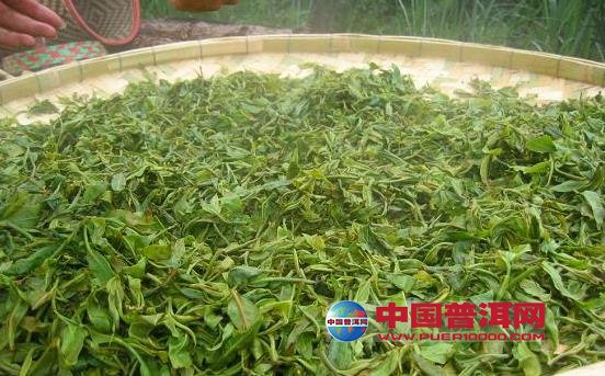 普洱茶