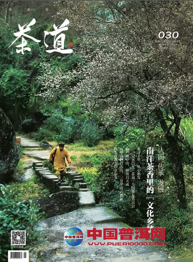 普洱茶