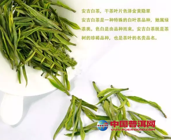 绿茶的存储以及冲泡方法-其它茶类-中国普洱茶
