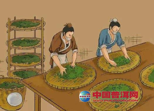 普洱茶