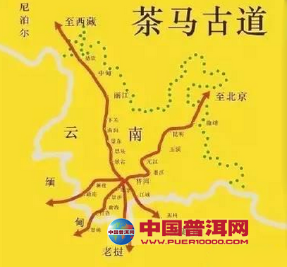 普洱茶