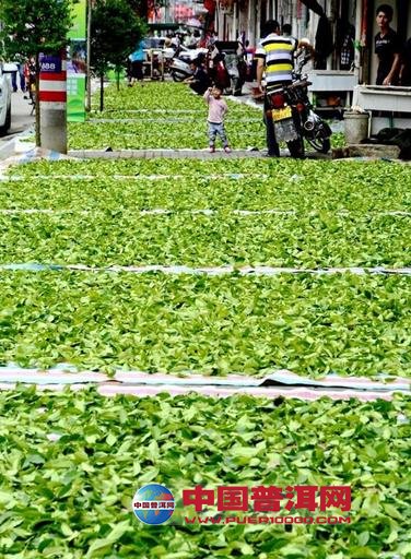 漳平市南洋派出所打造茶文化特色警务-行业新