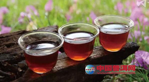 普洱茶
