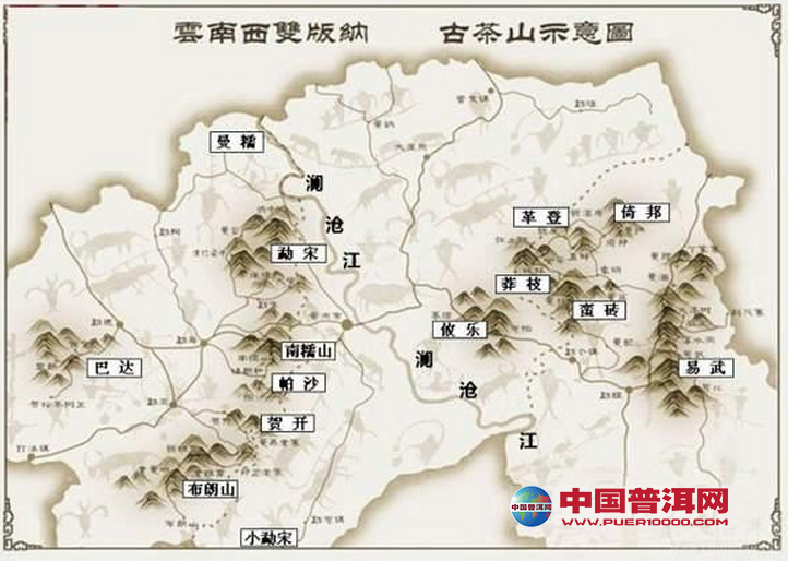 普洱茶