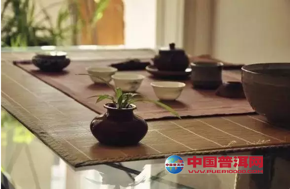 普洱茶