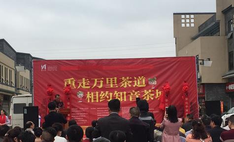 普洱茶