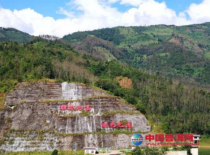 冰岛普洱茶为什么那么贵-临沧茶区-普洱茶山介