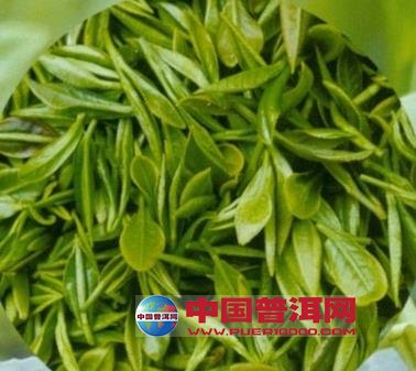 普洱茶