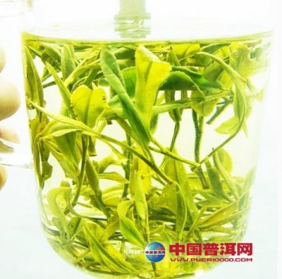 黄山毛峰茶的保健功效和作用-其它茶类-中国普
