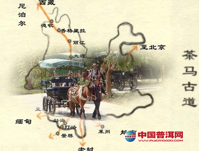 <u><a href='http://www.puer10000.com/puerzhishi/32854.html' target='_blank'>普洱<u><a href='http://www.puer10000.com/puerzhishi/100997.html' target='_blank'>茶</a></u></a></u>