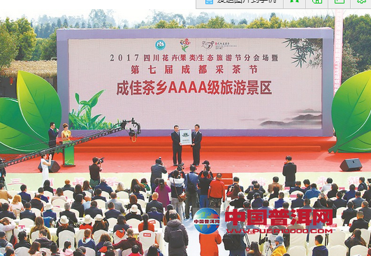 普洱茶