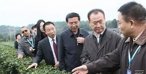 <u><a href='http://www.puer10000.com/puerzhishi/32854.html' target='_blank'>普洱<u><a href='http://www.puer10000.com/puerzhishi/100997.html' target='_blank'>茶</a></u></a></u>