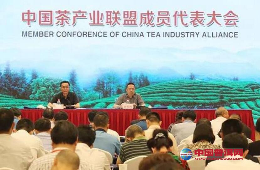 普洱茶