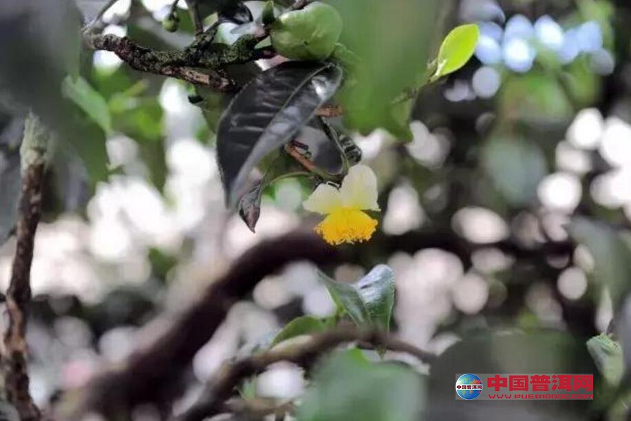 千赢国际娱乐手机官网
