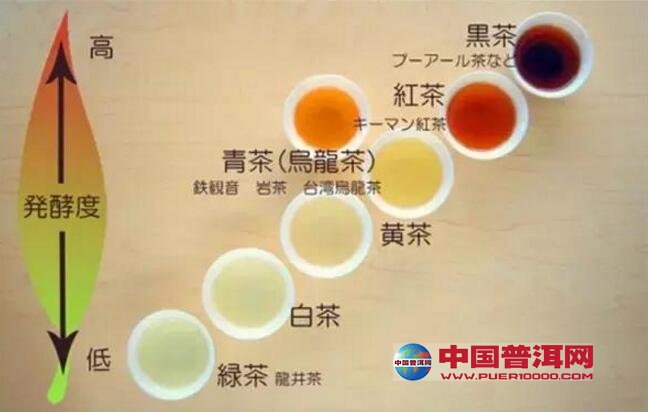 普洱茶