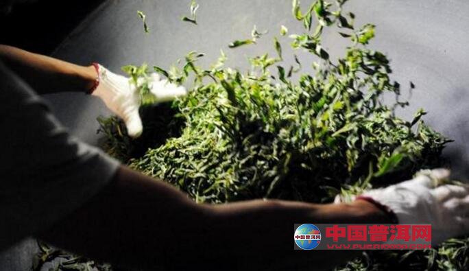 普洱茶