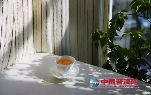 普洱茶