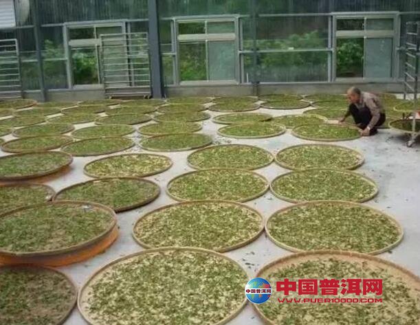 普洱茶