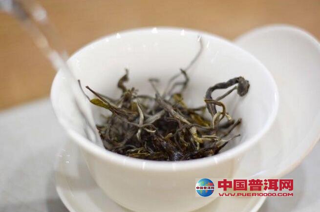 普洱茶