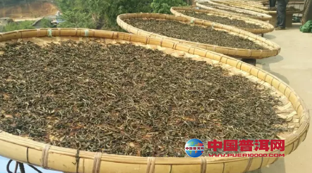 普洱茶
