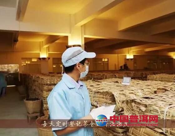普洱茶