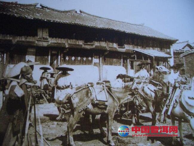 普洱茶