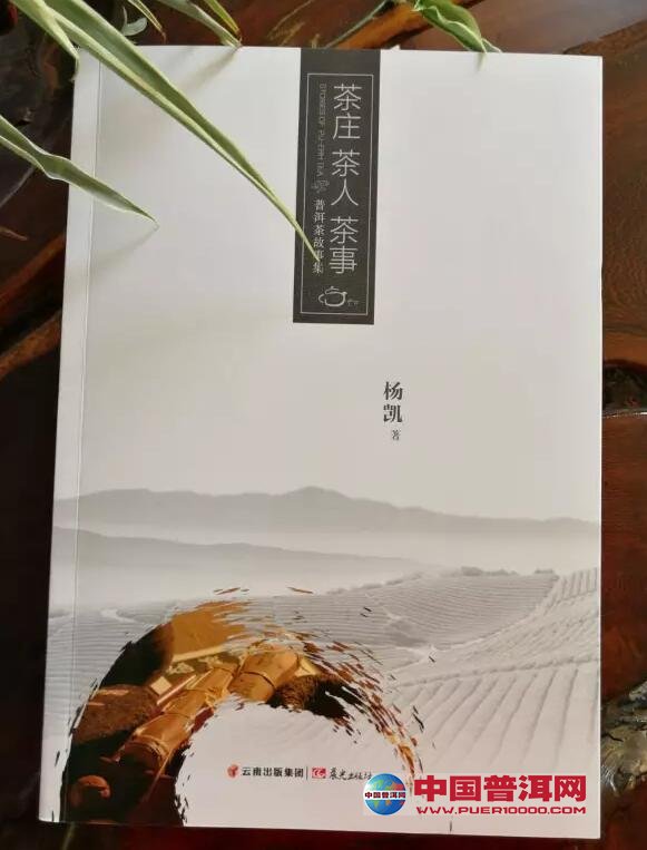 普洱茶