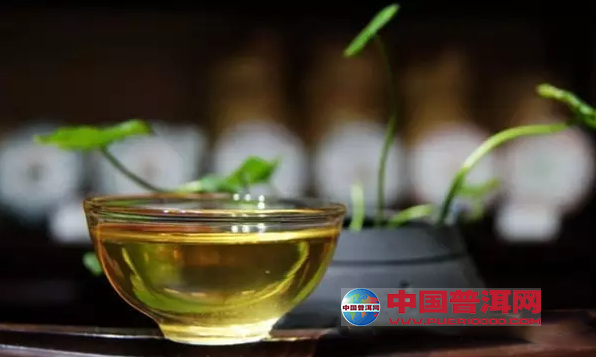 普洱茶