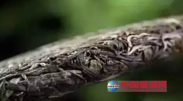 普洱茶