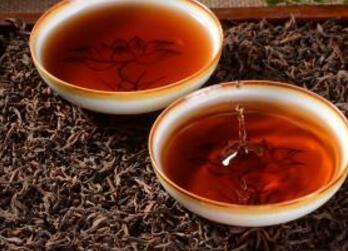 普洱茶