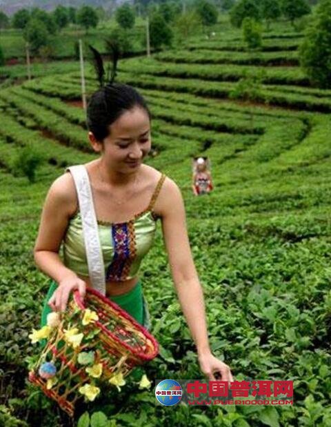 千赢国际娱乐手机官网