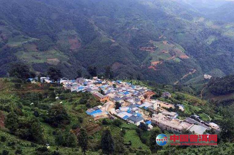 云南寻普洱茶之冰岛老寨-茶友论茶-茶友会-中国普洱茶官方网站 - 中国普洱网