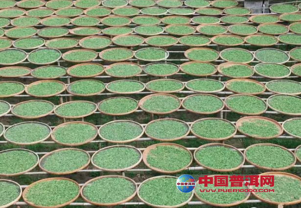 普洱茶